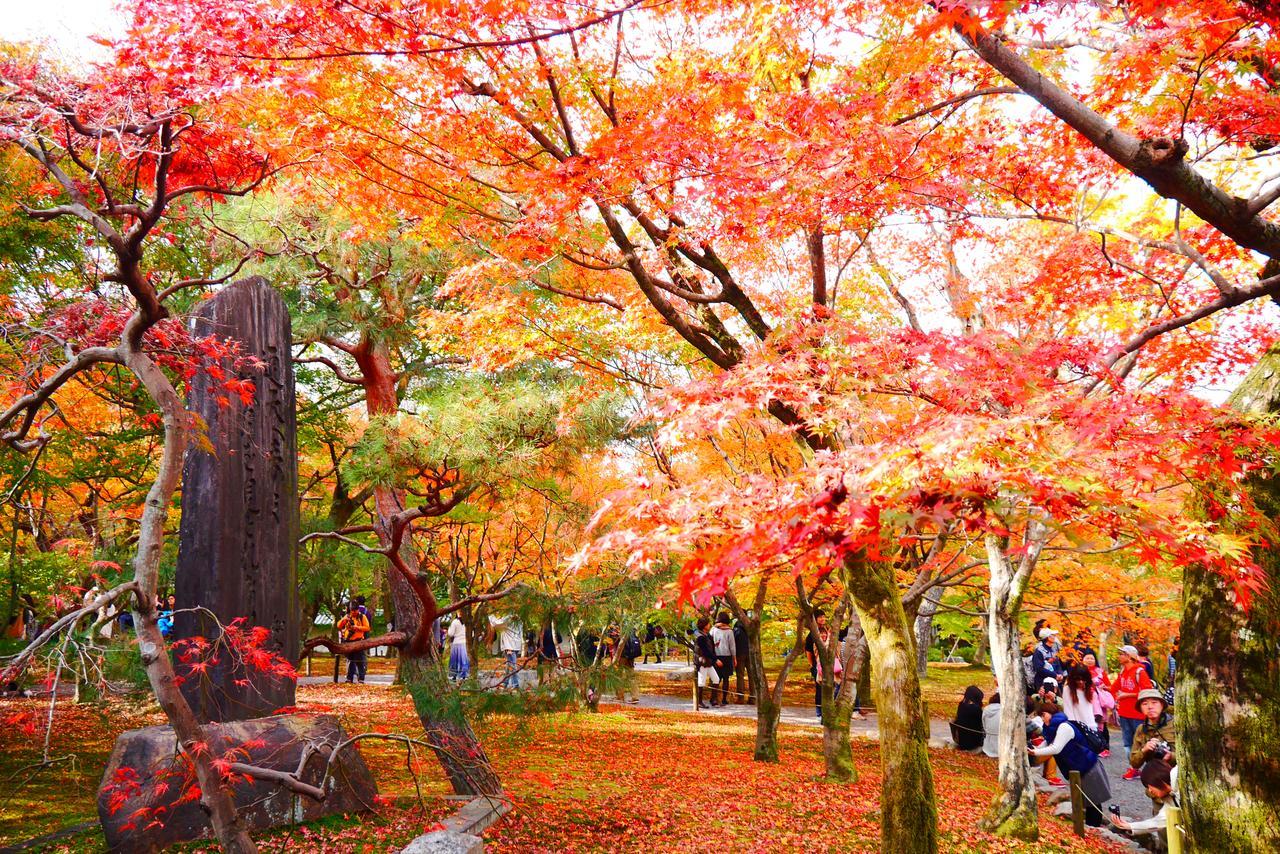 Japaning Hotel Libre Tofukuji Kioto Exterior foto