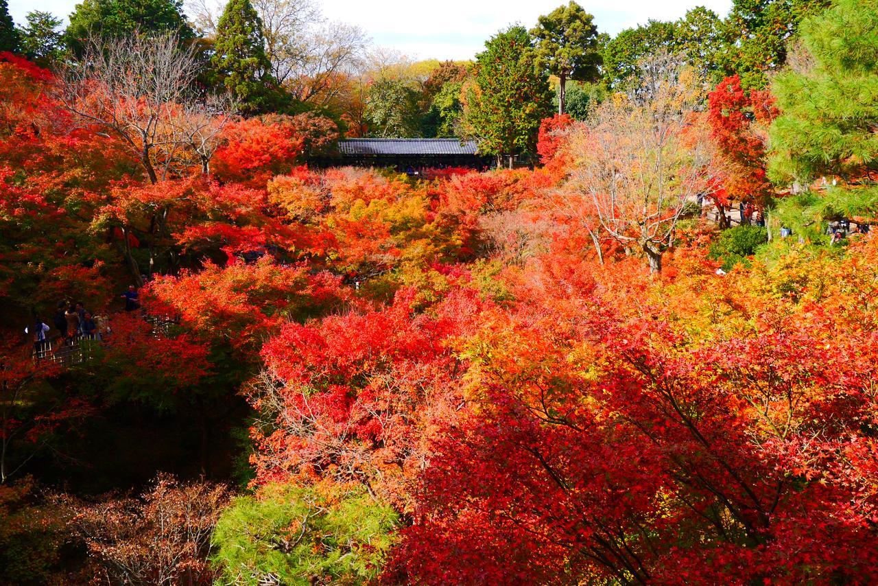 Japaning Hotel Libre Tofukuji Kioto Exterior foto